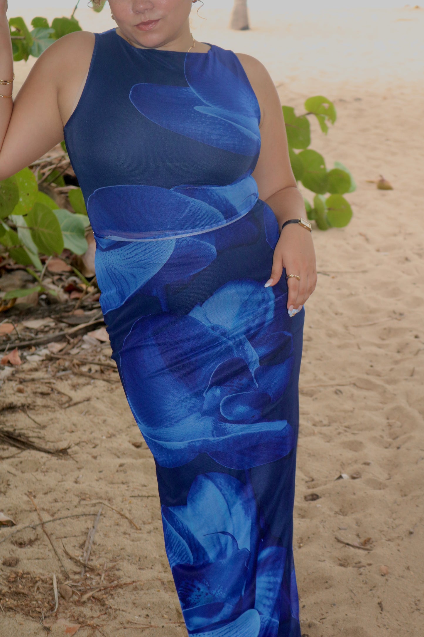Lobelia Set