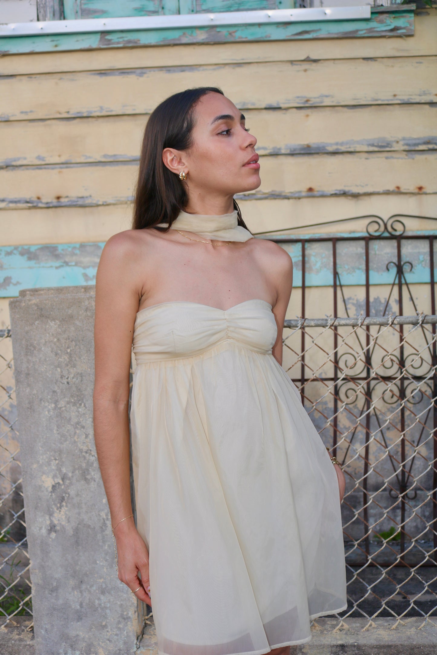 Mustard Dress